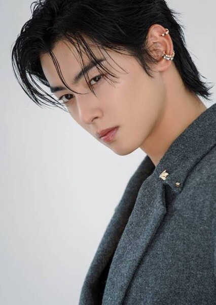Cha Eun-woo photo