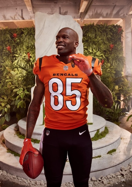 Chad Johnson photo