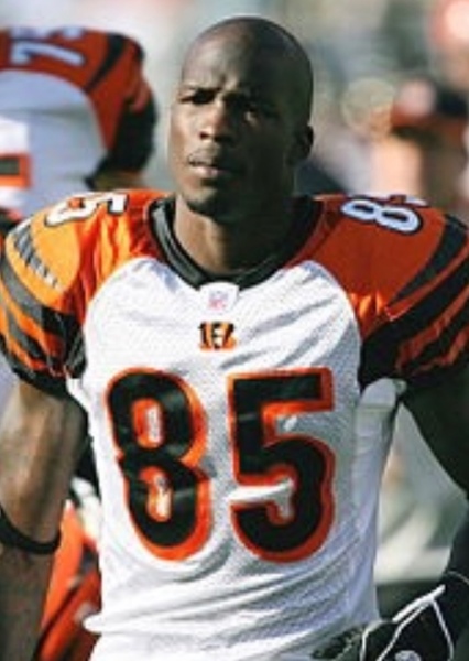 Chad Johnson photo