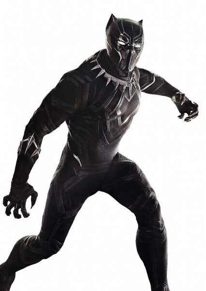 Chadwick Boseman photo