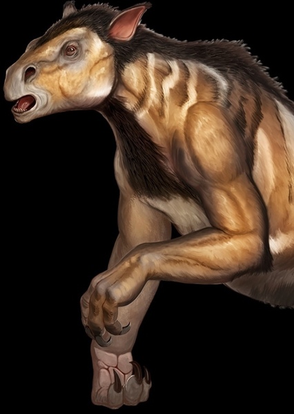 Chalicotherium photo