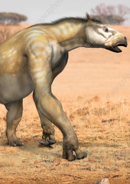 Chalicotherium photo