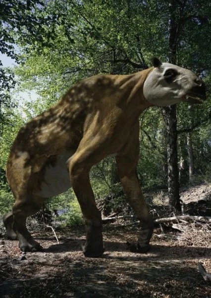 Chalicotherium photo