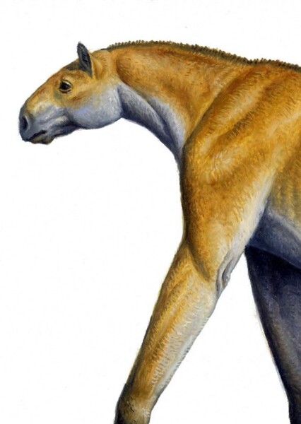 Chalicotherium