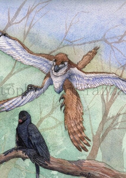 Changyuraptor photo