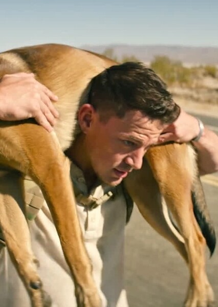 Channing Tatum photo