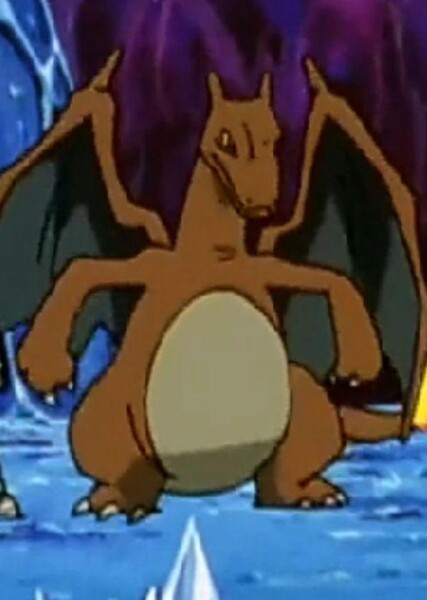 Charizard photo