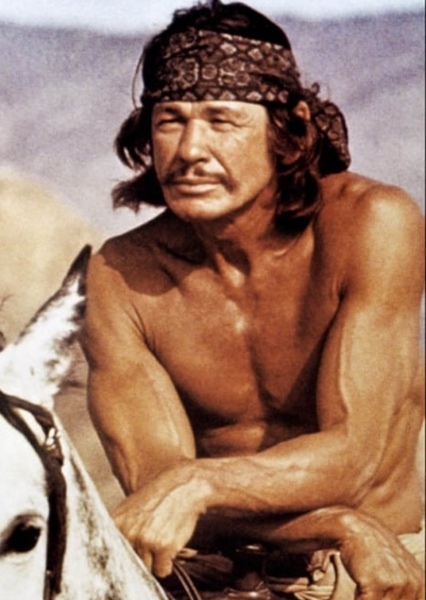 Charles Bronson photo