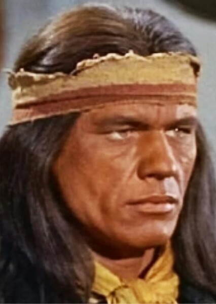 Charles Bronson photo