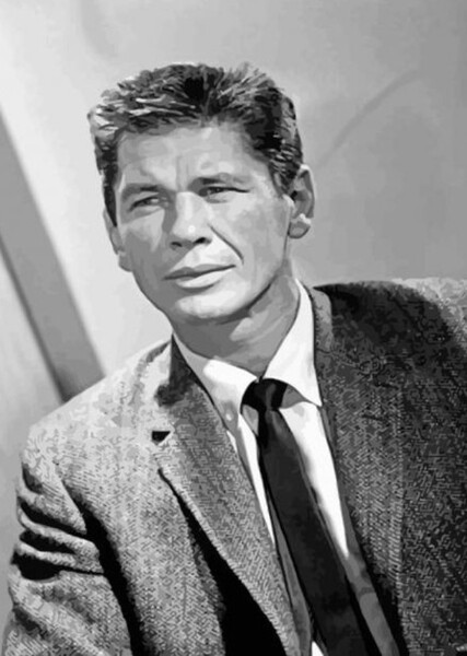 Charles Bronson photo