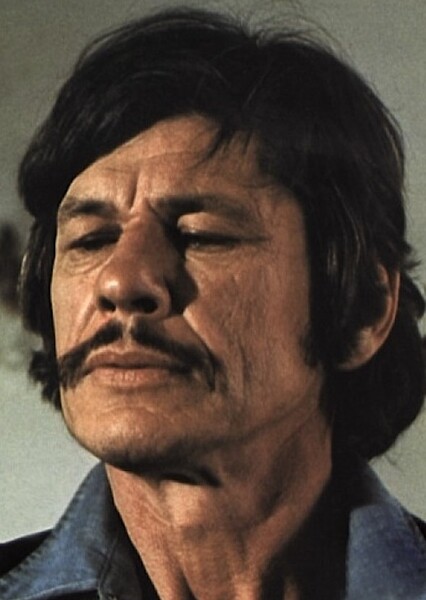 Charles Bronson photo