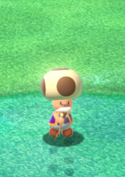 Charles Martinet photo