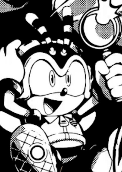 Charmy Bee photo