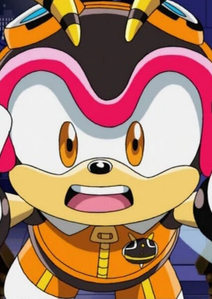 Charmy Bee (Sonic X) photo