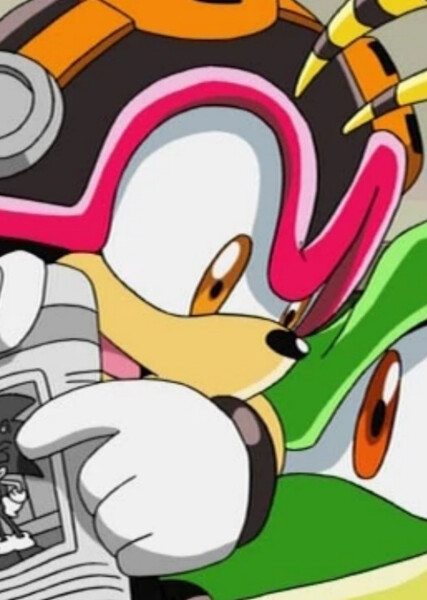 Charmy Bee (Sonic X) photo