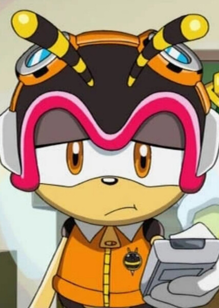 Charmy Bee (Sonic X) photo