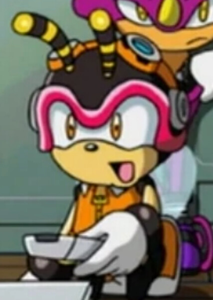 Charmy Bee (Sonic X) photo