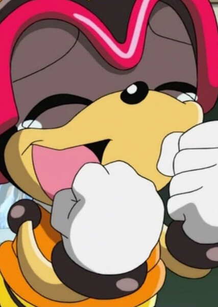 Charmy Bee (Sonic X) photo