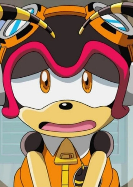 Charmy Bee (Sonic X) photo