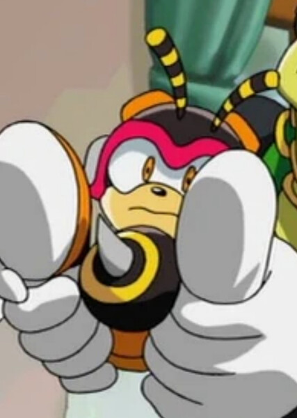 Charmy Bee (Sonic X) photo