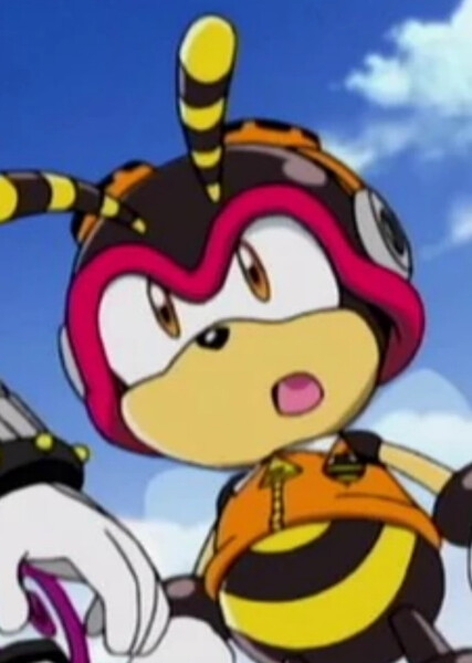 Charmy Bee (Sonic X) photo