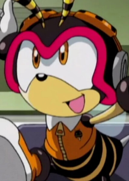 Charmy Bee (Sonic X) photo