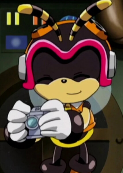Charmy Bee (Sonic X) photo