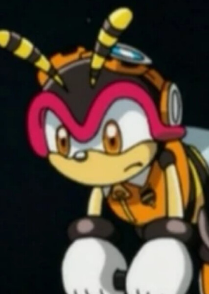 Charmy Bee (Sonic X) photo