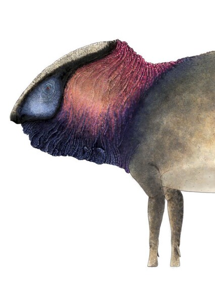 Charonosaurus photo