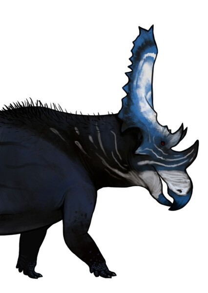 Chasmosaurus photo