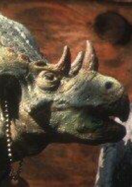 Chasmosaurus photo