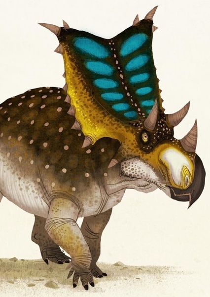 Chasmosaurus photo