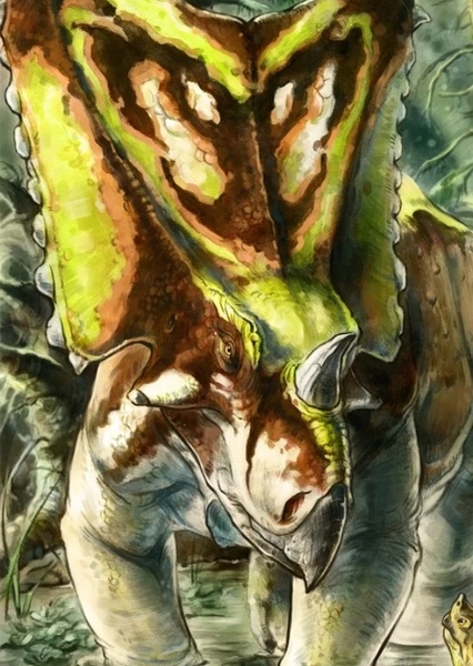 Chasmosaurus photo