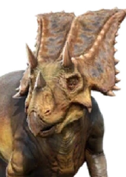 Chasmosaurus (Jurassic World: Primal Ops)