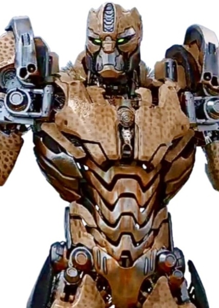 Cheetor photo