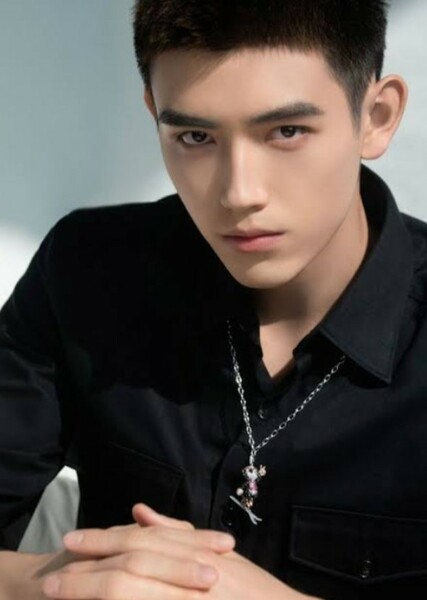 Chen Feiyu photo