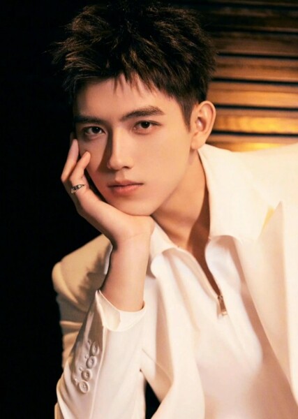 Chen Feiyu photo