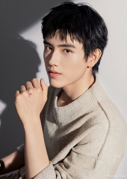 Chen Feiyu photo