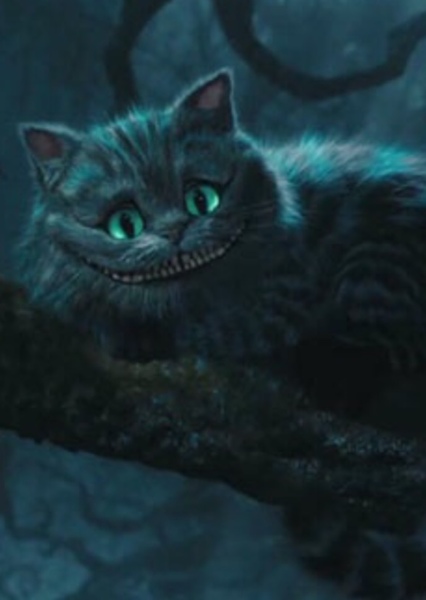 Cheshire Cat photo