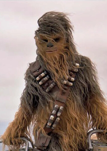 Chewbacca photo