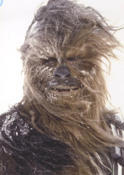 Chewbacca photo