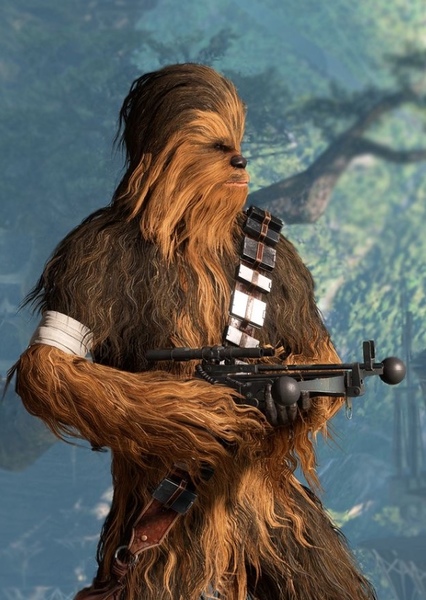 Chewbacca photo