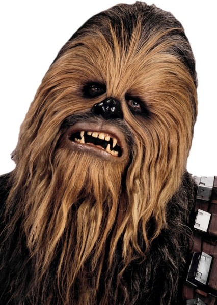 Chewbacca photo