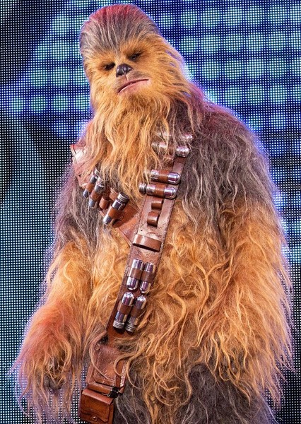 Chewbacca photo