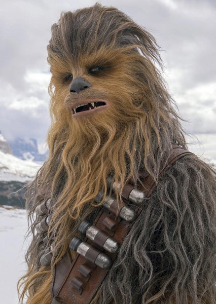 Chewbacca