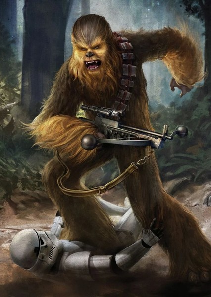 Chewbacca photo