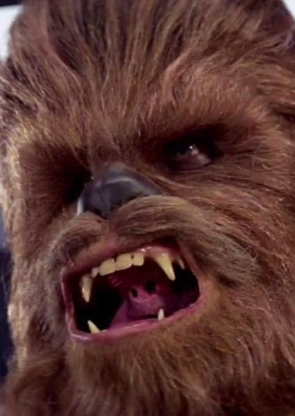 Chewbacca photo