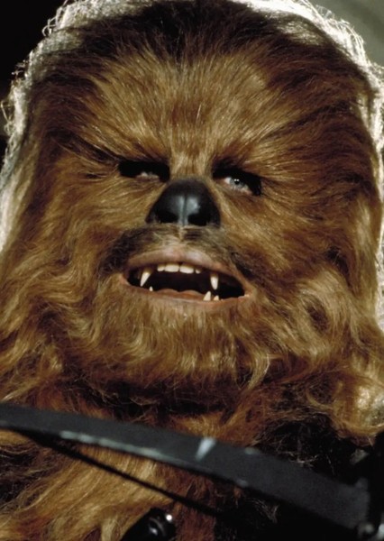 Chewbacca photo