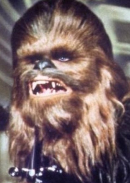 Chewbacca photo