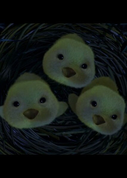 Chicks (Chicken Little)